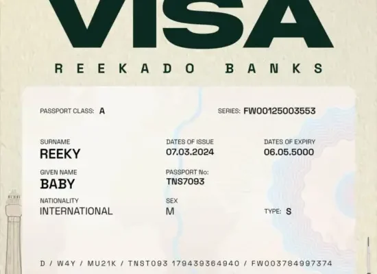 Reekado Banks – Visa | 36NG