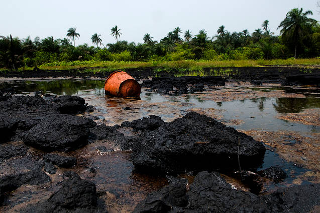 Fresh oil spill hits Ogoni community, destroys farmlands