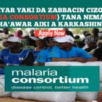 Gidauniyar Yaki Da Zabbacin Cizon Sauro (Malaria Consortium) Za ta Dauki Ma’aikata – Kabasto.Com