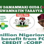 Ga Wasu Damammaki Guda (14) Daga Federal Government – Kabasto.Com