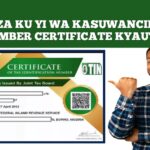 Yadda Za Ku Yi Wa Kasuwancinku TIN Number Certificate Kyauta – Kabasto.Com