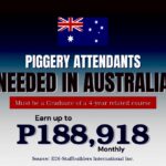 Australia Hiring Piggery Attendants 2024- Apply!