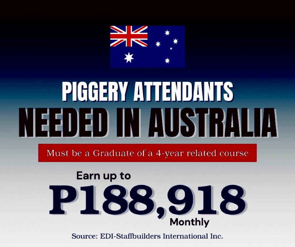 Australia Hiring Piggery Attendants 2024- Apply!