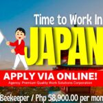 Beekeeper Job Hiring in Japan 2024