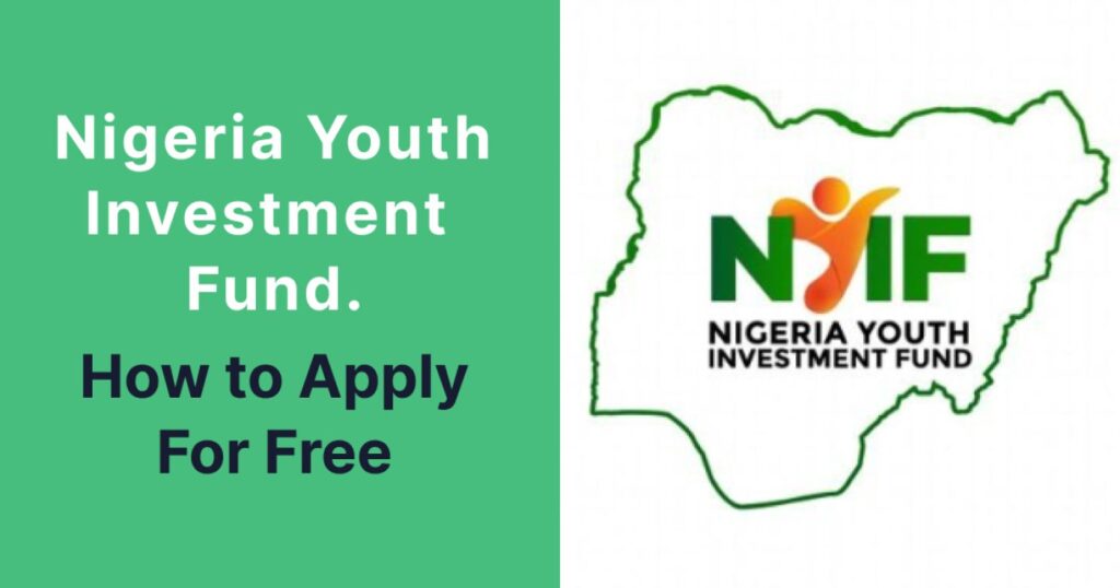 The Nigeria Youth Investment Fund (NYIF) 2025 – How to Apply – Kabasto.Com