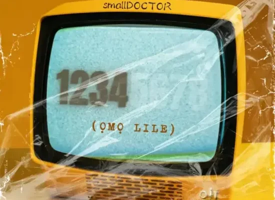 Small Doctor – 1234 (omo Lile)