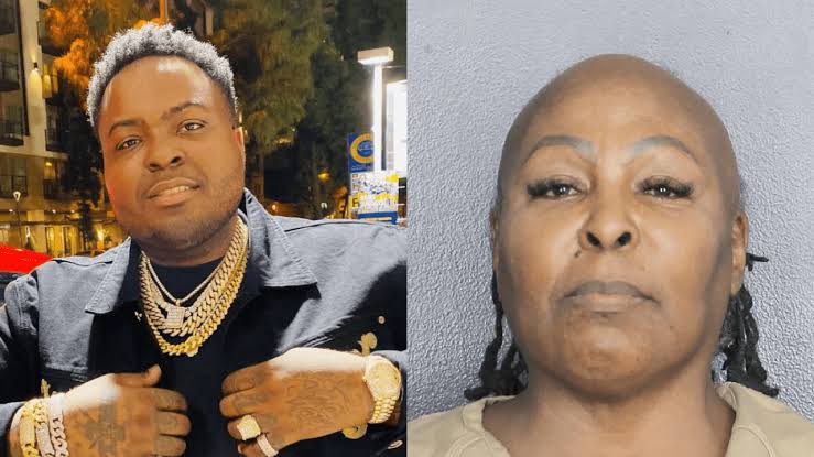 Rapper Sean Kingston and his mom plead not guilty to charges of organised fraud and grand theft totalling $1million