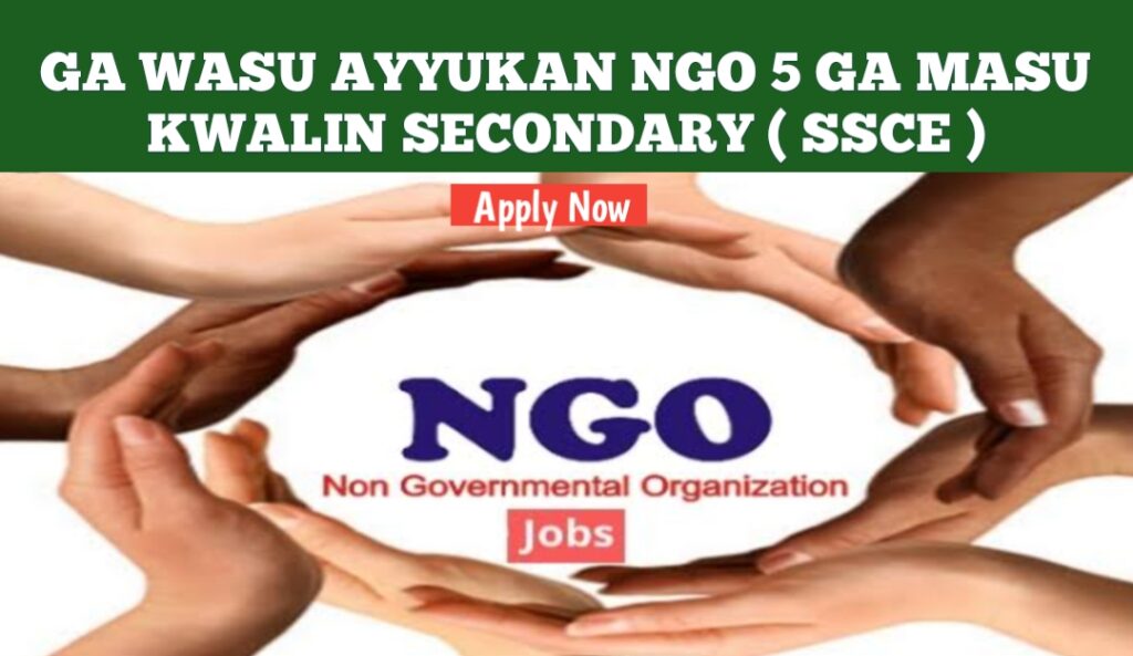 Ga Wasu Ayyukan NGO 5 Ga Masu Kwalin Secondary ( SSCE ) – Kabasto.Com