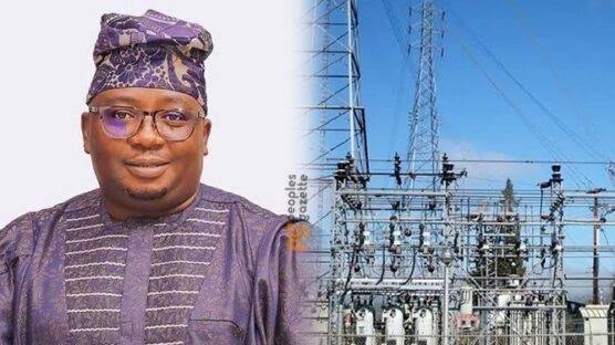 Over 40% of Nigerians now enjoy 20 hours of electricity supply – Power Minister