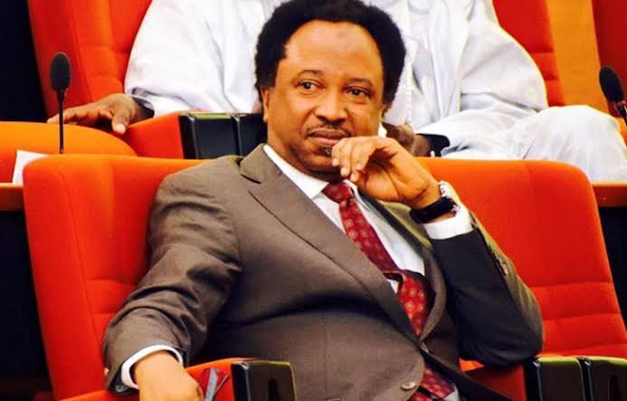 Impose heavy fines on Nigerians with PVCs but fail to vote on election day – Senator Shehu Sani