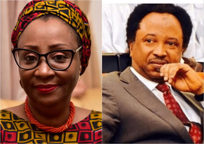 Senator Shehu Sani replies former Kaduna first lady, Hadiza El-Rufai, hours after she corrected his English on X